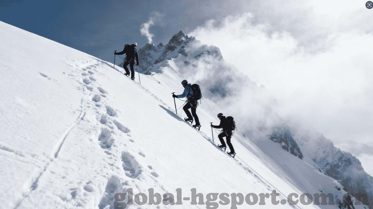 开云体育登录入口在哪-探索开云体育登录入口的精准位置与便捷体验
